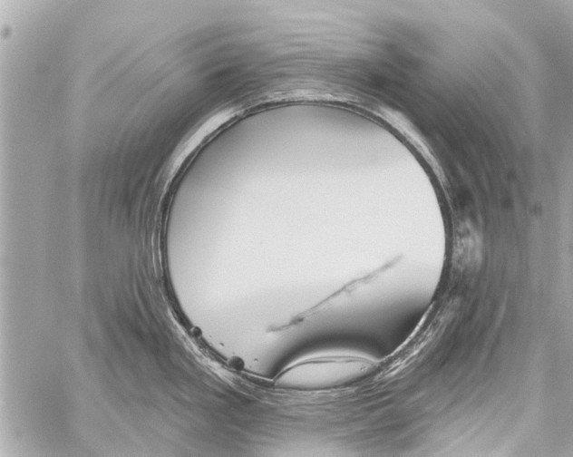 X0000059081293200511041811