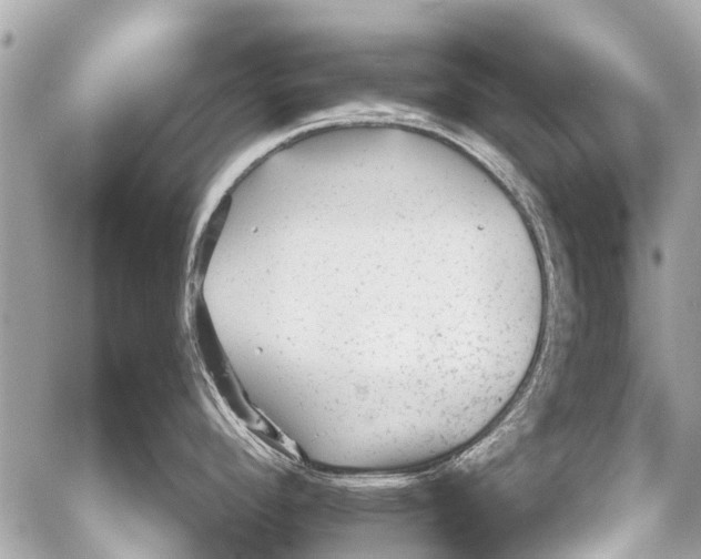 X0000059081296200511041811