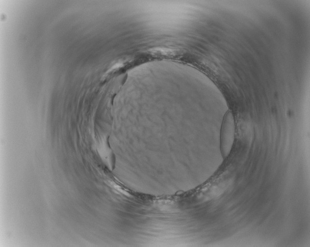 X0000059081297200511041810