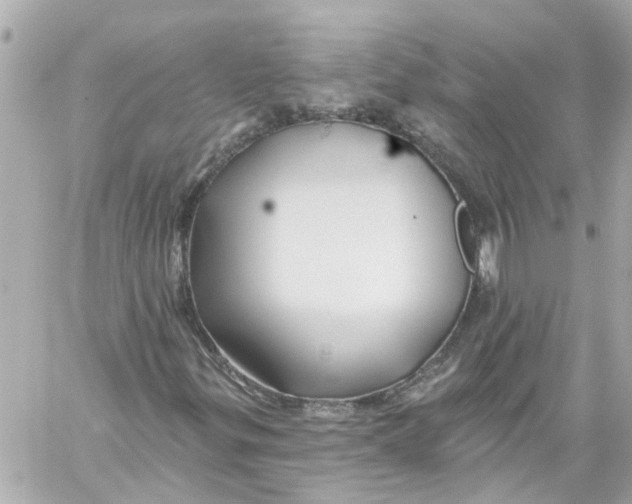 X0000059081299200511041810