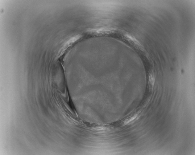 X0000059081300200511041810