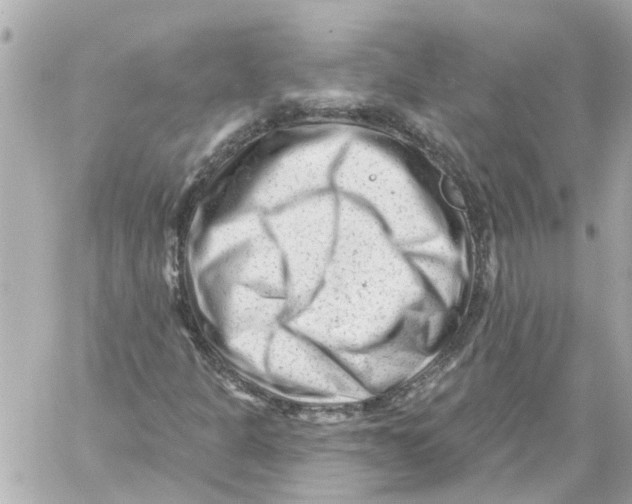 X0000059081301200511041810