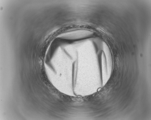 X0000059081302200511041810