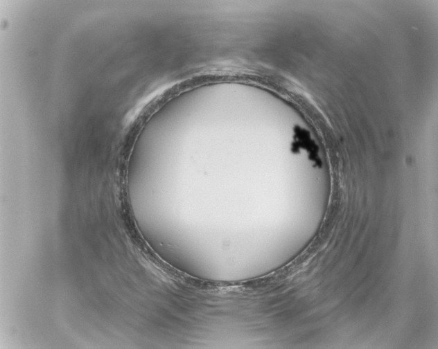 X0000059081304200511041811