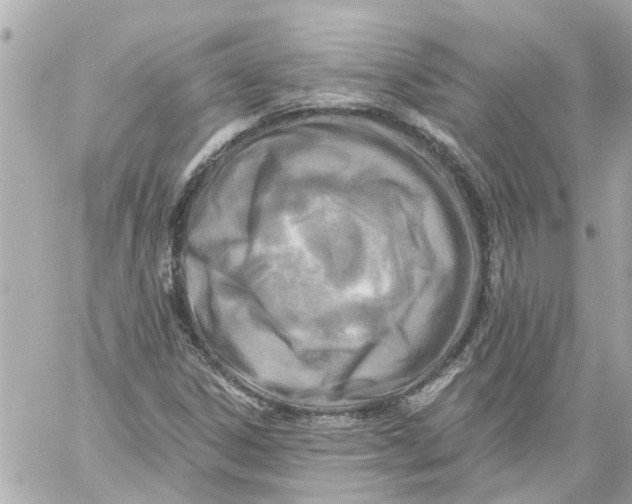 X0000059081306200511041811