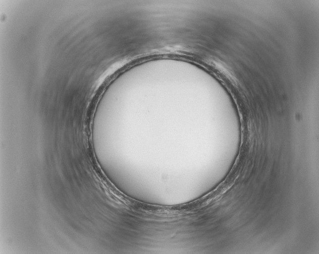 X0000059081308200511041811