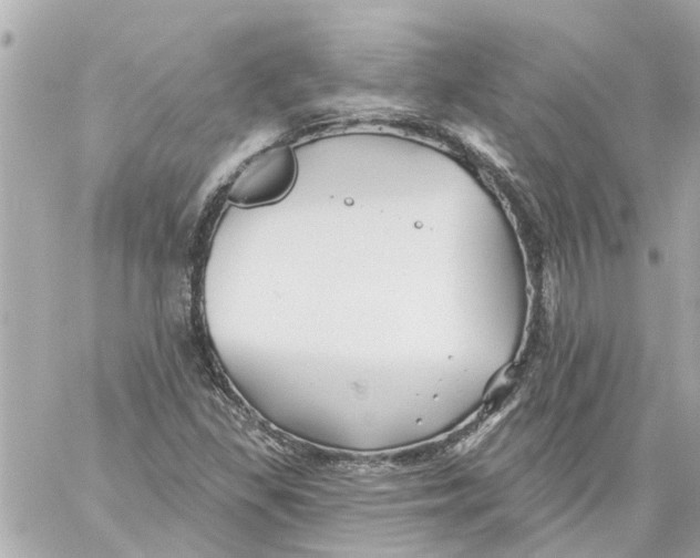 X0000059081309200511041811