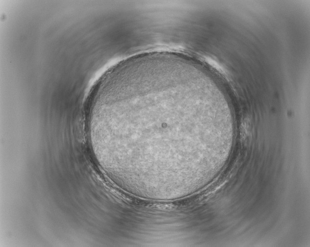 X0000059081310200511041811