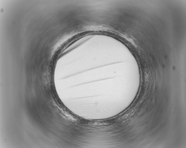 X0000059081311200511041811