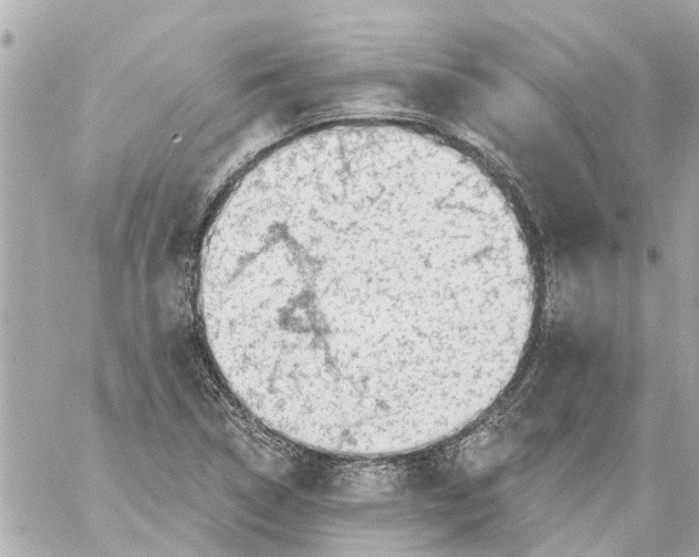 X0000059081314200511041811