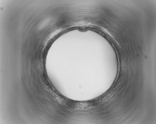 X0000059081315200511041811