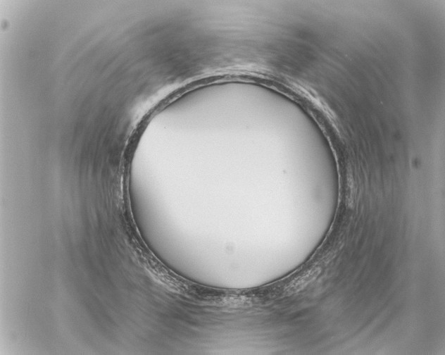 X0000059081316200511041811