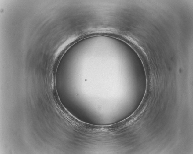 X0000059081317200511041811