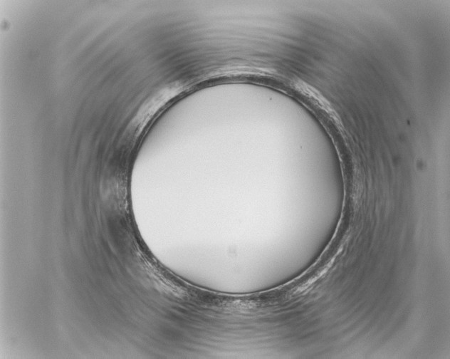 X0000059081321200511041811