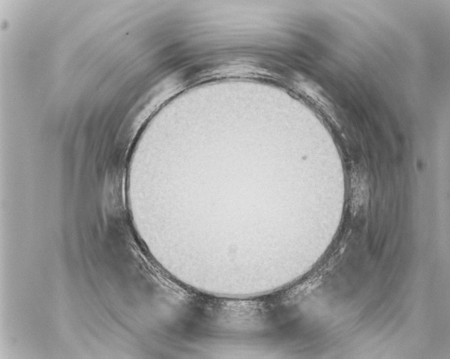 X0000059081322200511041811