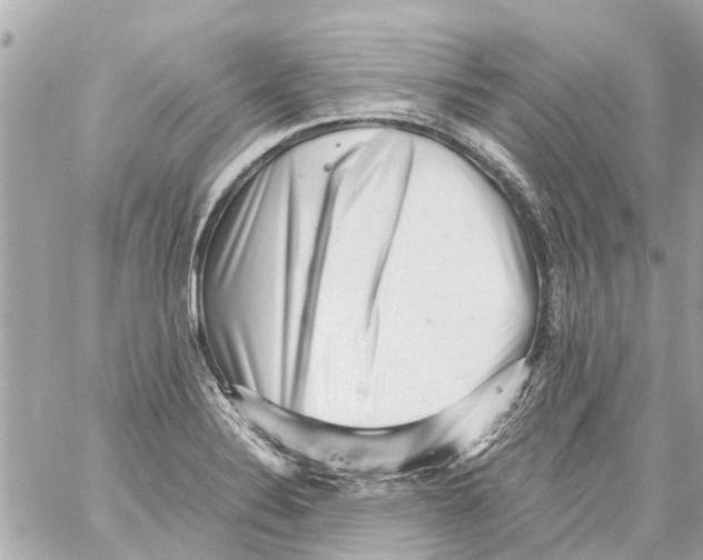 X0000059081324200511041811