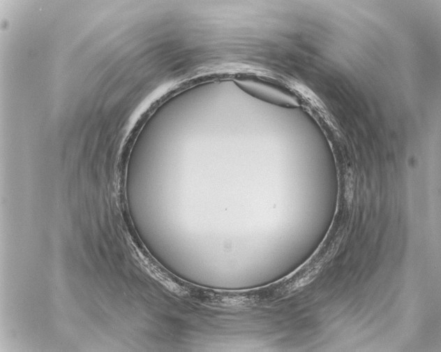 X0000059081326200511041811