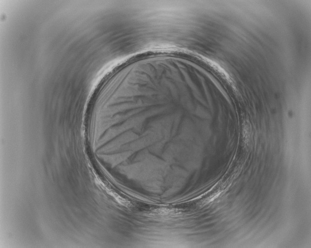 X0000059081327200511041811