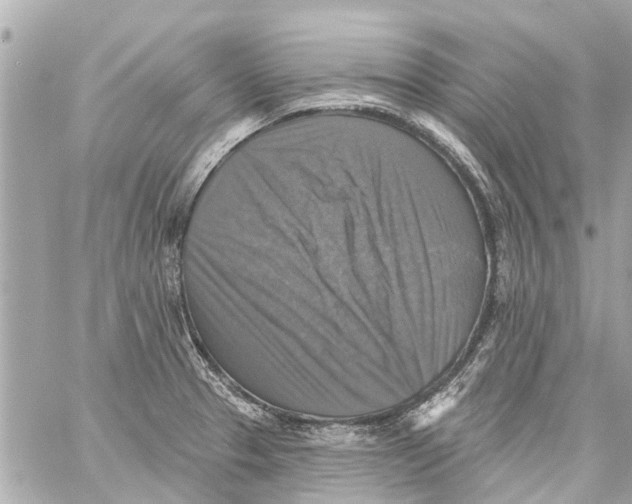 X0000059081329200511041811