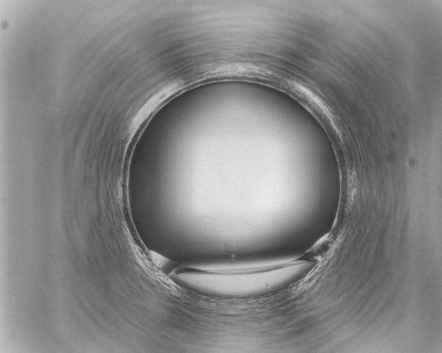 X0000059081330200511041811