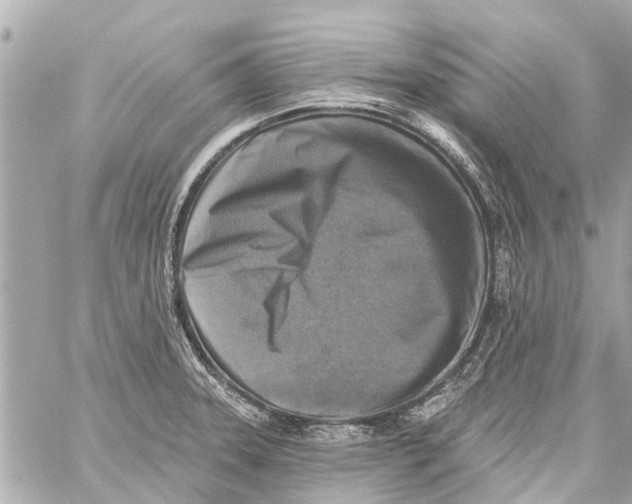 X0000059081331200511041811