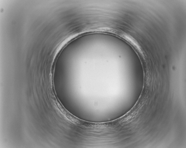 X0000059081332200511041811