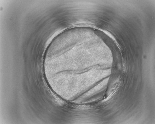 X0000059081333200511041811