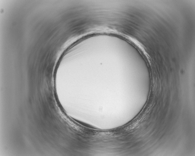 X0000059081335200511041811