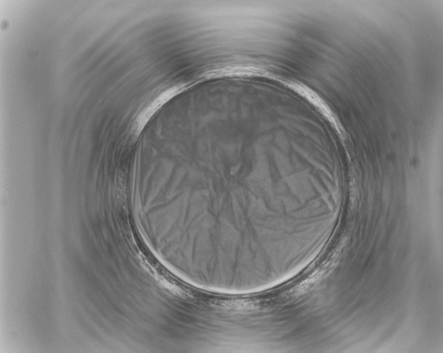 X0000059081337200511041811