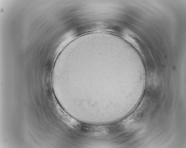 X0000059081338200511041811