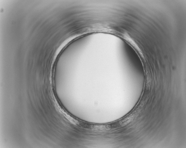 X0000059081339200511041811