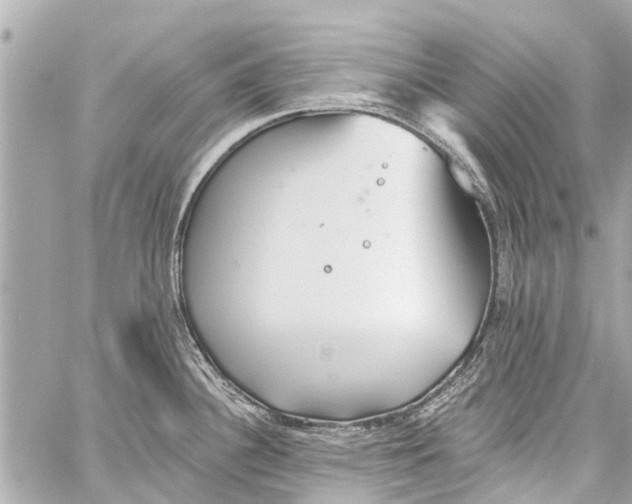 X0000059081340200511041811