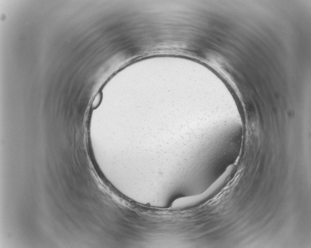 X0000059081341200511041811