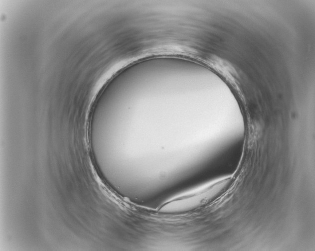 X0000059081342200511041811