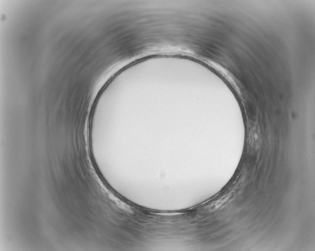 X0000059081343200511041811