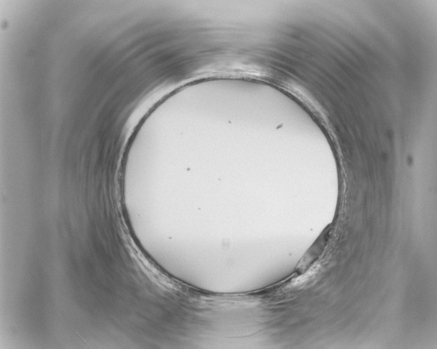 X0000059081344200511041811