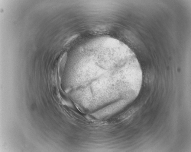 X0000059081346200511041810