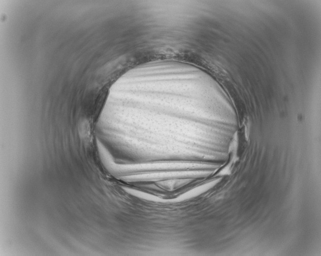 X0000059081347200511041810