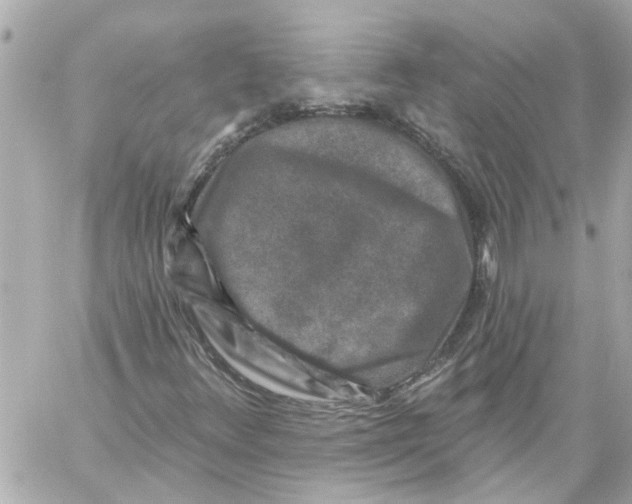 X0000059081348200511041810