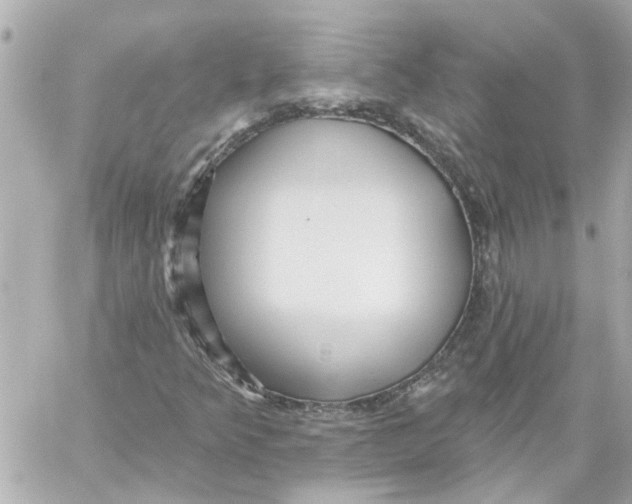 X0000059081349200511041810