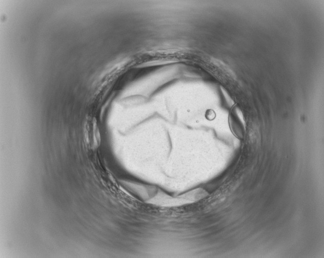 X0000059081350200511041810