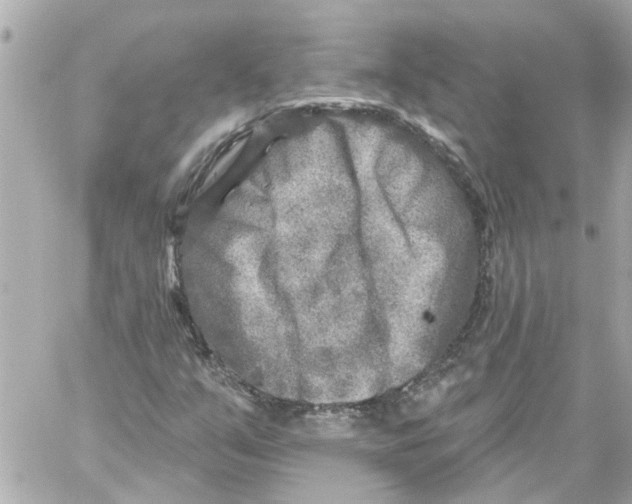 X0000059081351200511041810