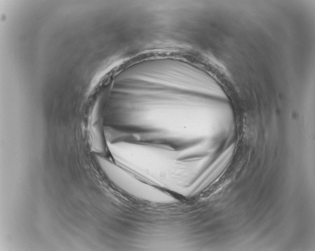 X0000059081352200511041810