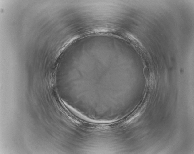 X0000059081353200511041810