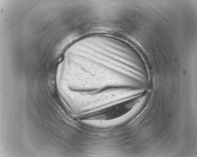 X0000059081355200511041810