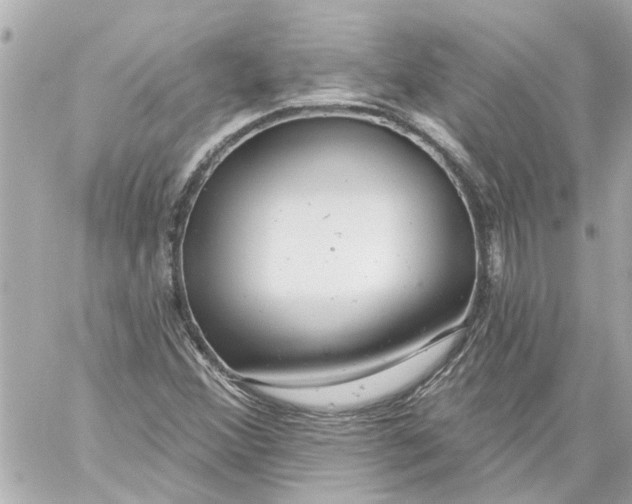 X0000059081356200511041810