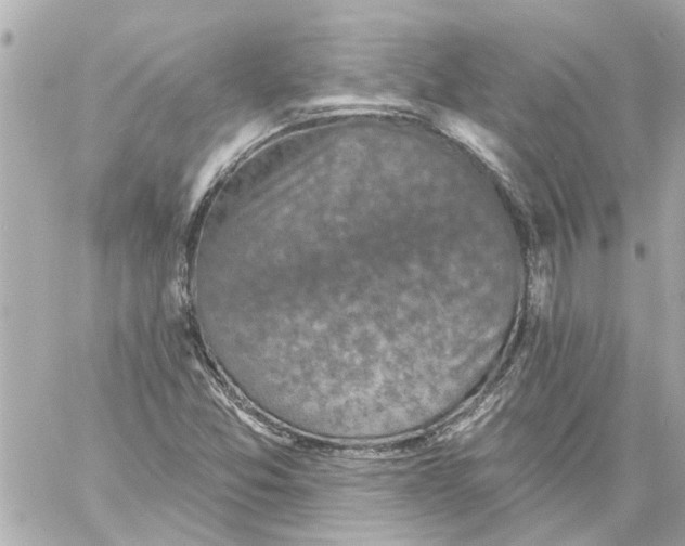 X0000059081357200511041810