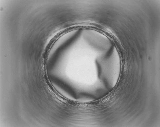 X0000059081360200511041810