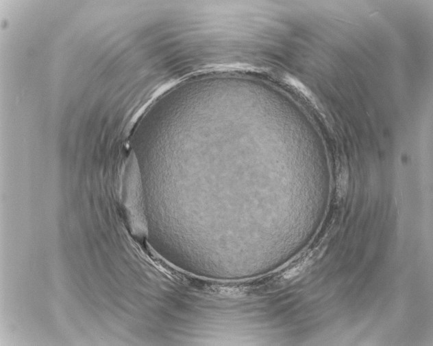 X0000059081361200511041810