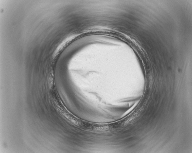 X0000059081363200511041810